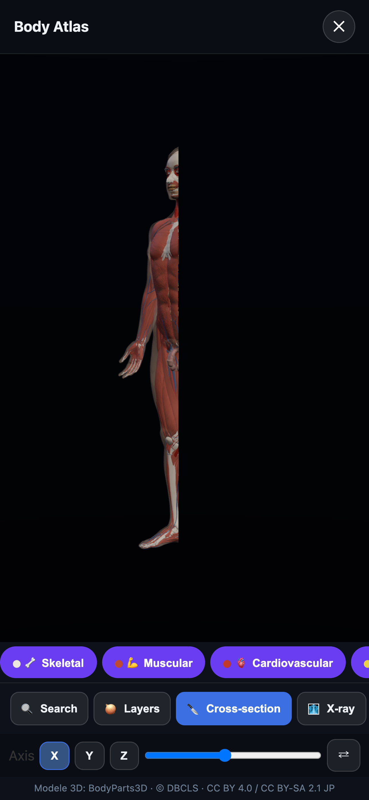 Human Body Explorer - Interactive Anatomy Learning
