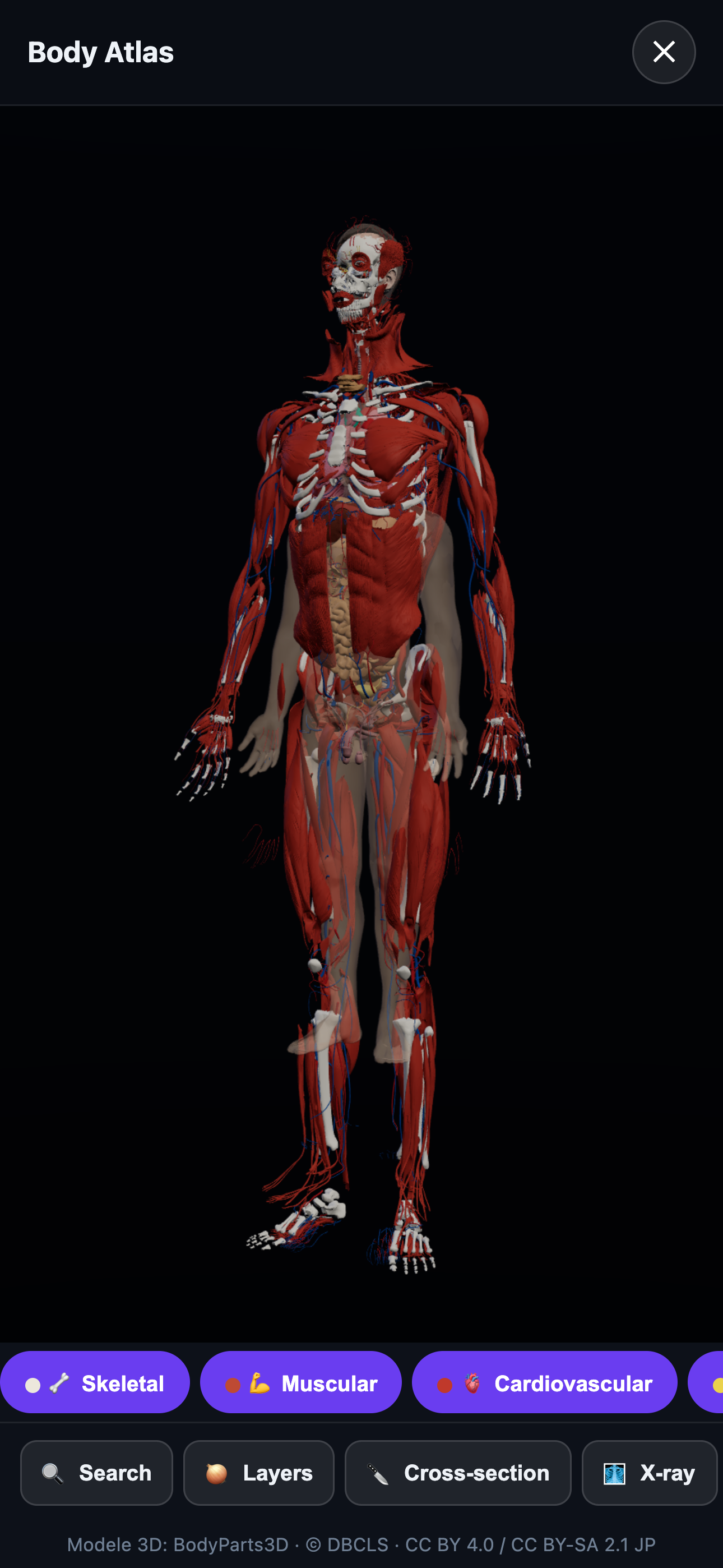 Body Atlas — exploded view