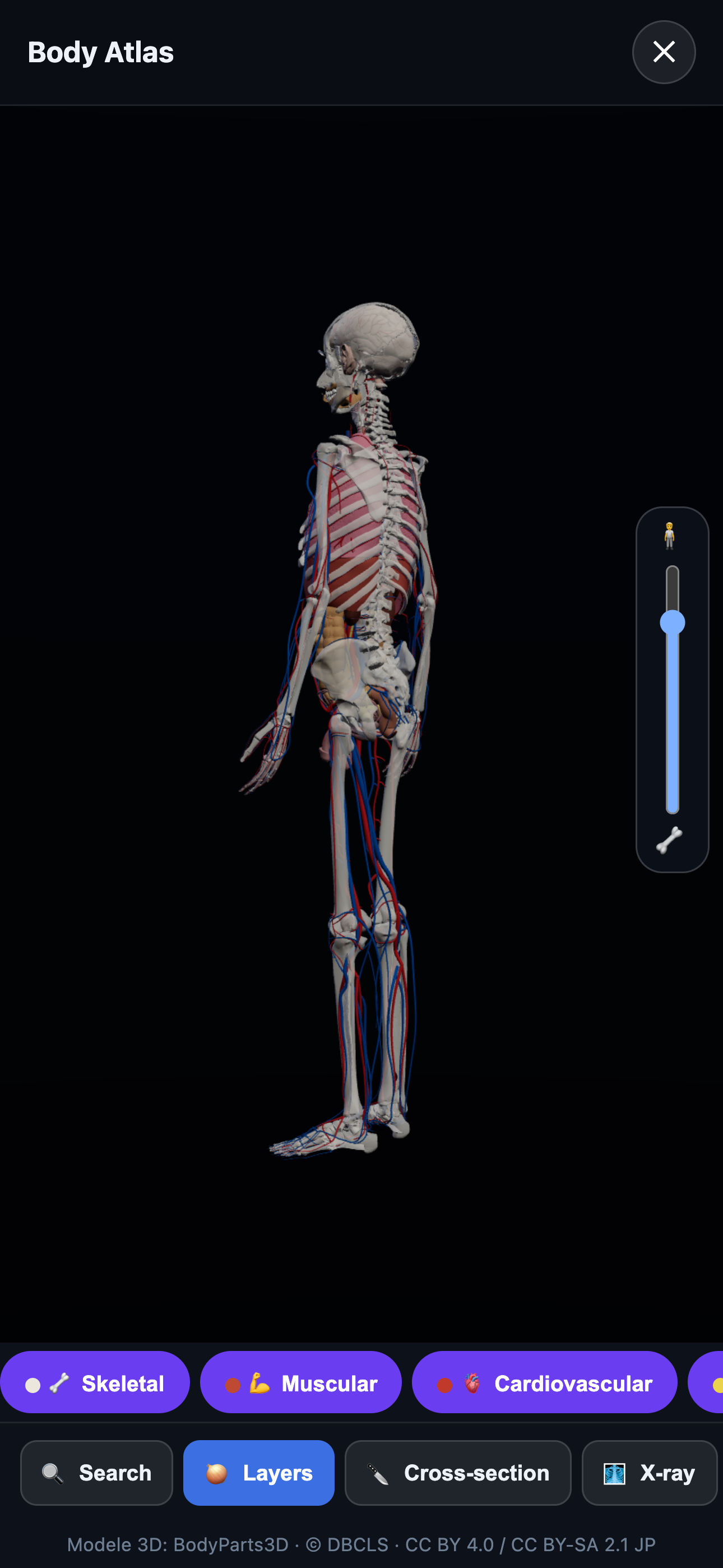 Body Atlas — peel layers