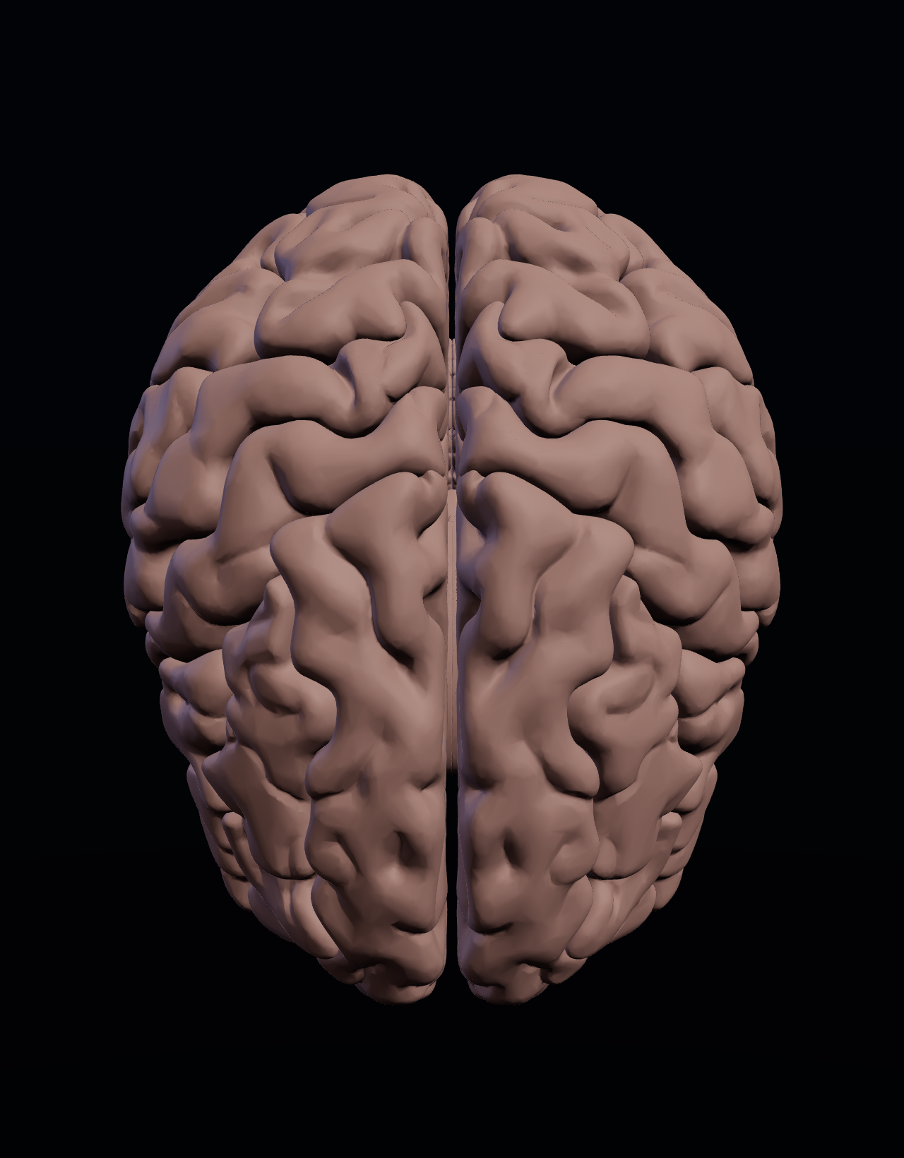 3D brain