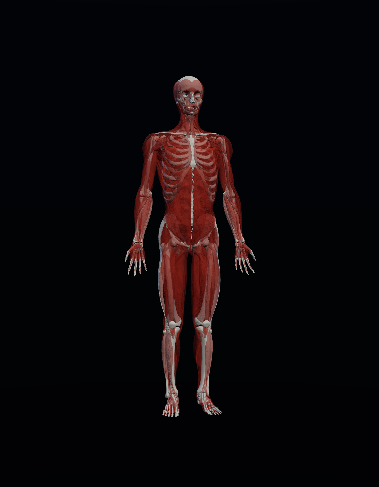 3D explorer layers
