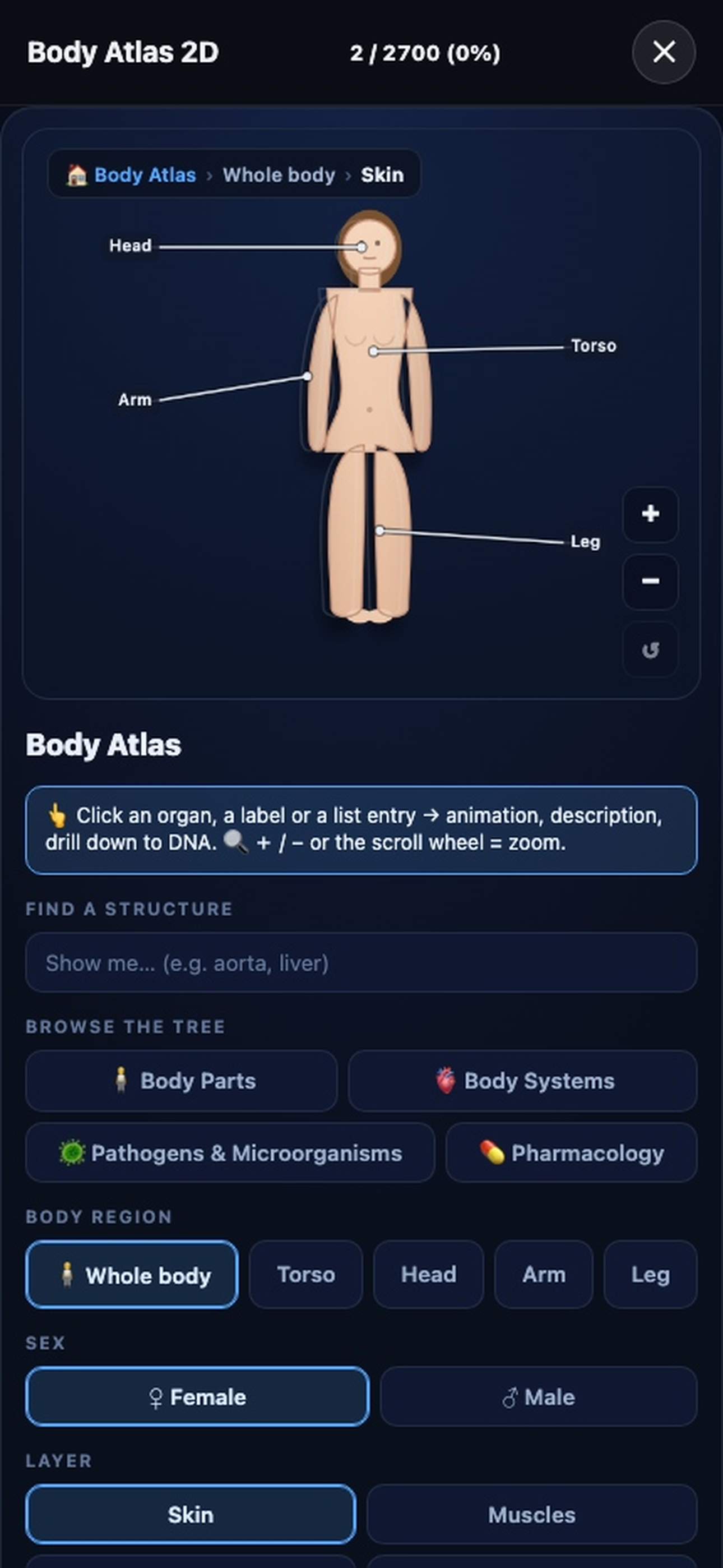 Body Atlas 2D